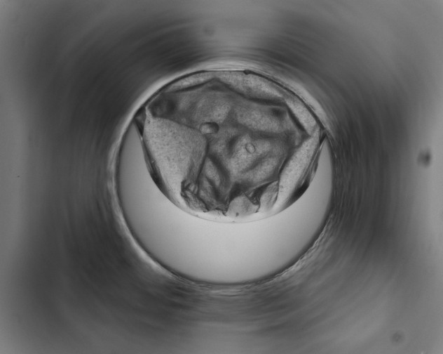 X0000102501484200809051334