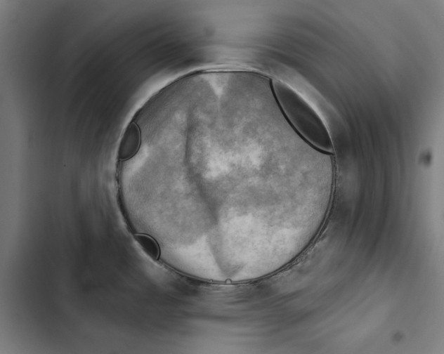 X0000102501485200809051334