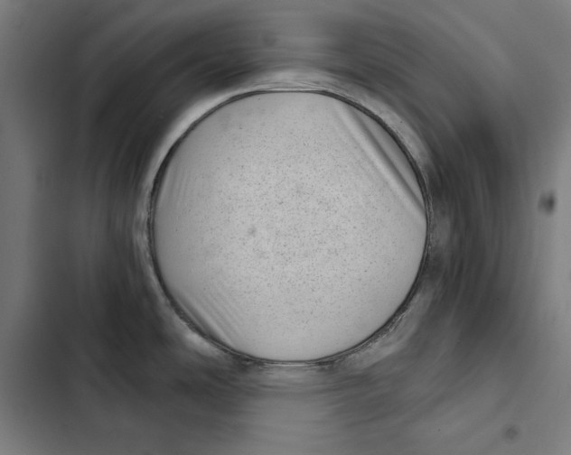 X0000102501486200809051334