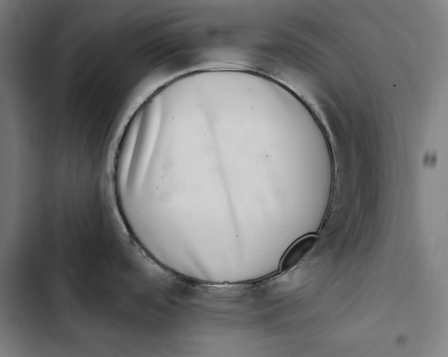 X0000102501488200809051334