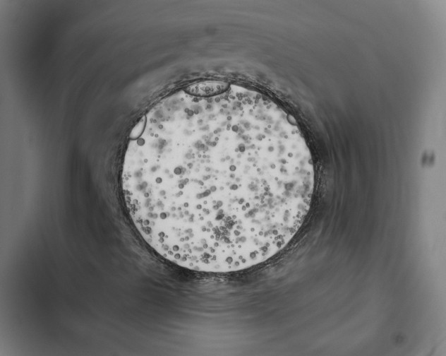 X0000102501489200809051333