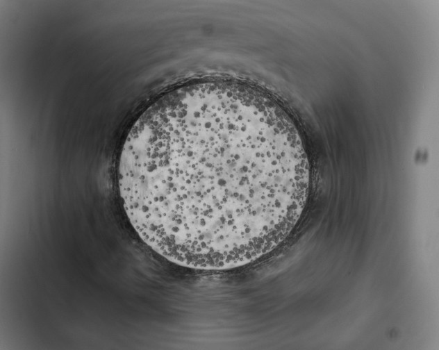 X0000102501490200809051333