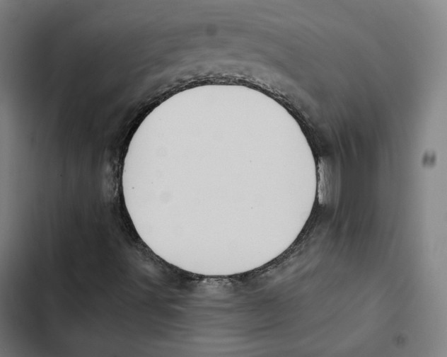 X0000102501491200809051333