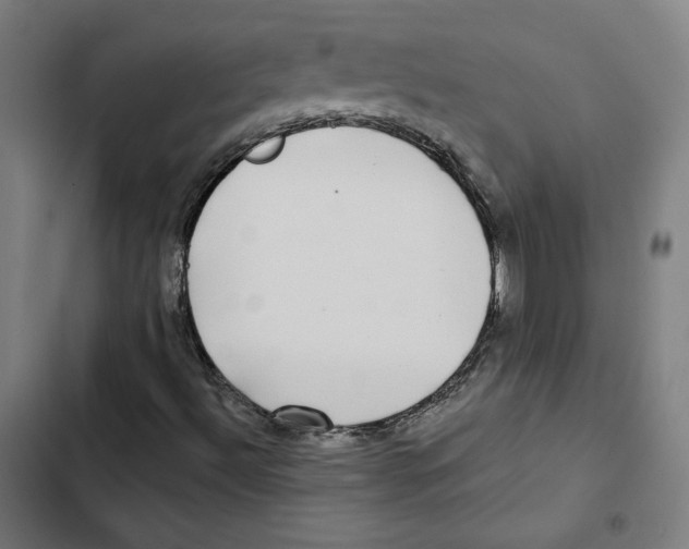 X0000102501492200809051333