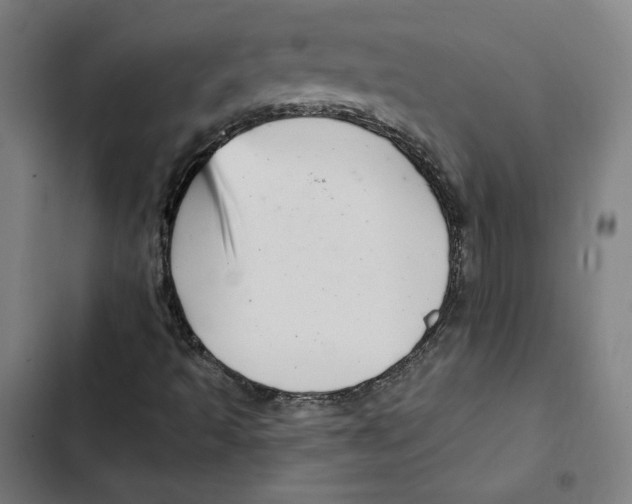 X0000102501493200809051333