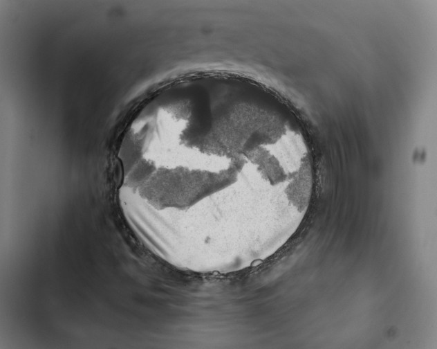 X0000102501494200809051333