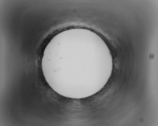 X0000102501495200809051333