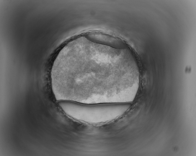 X0000102501496200809051333