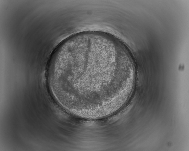 X0000102501497200809051333