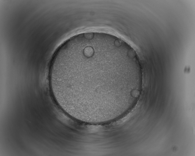 X0000102501498200809051333