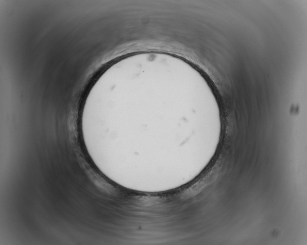 X0000102501499200809051333