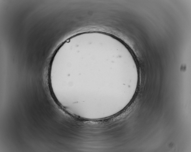 X0000102501500200809051333