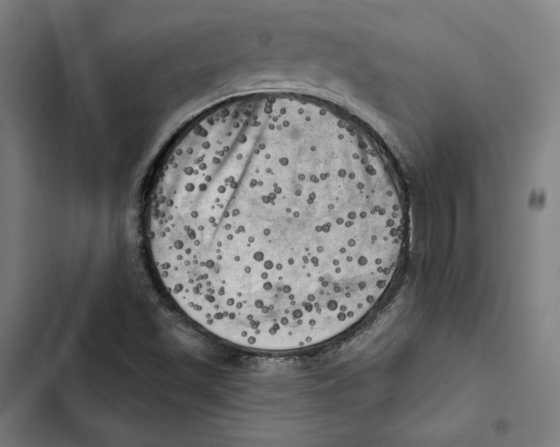 X0000102501501200809051333