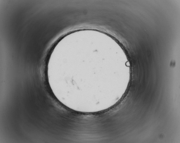 X0000102501502200809051333