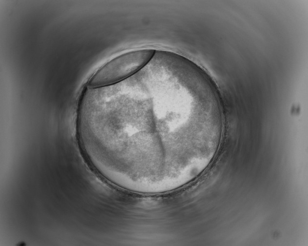 X0000102501504200809051333