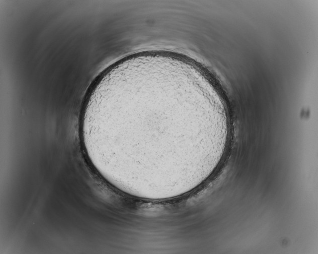 X0000102501505200809051333