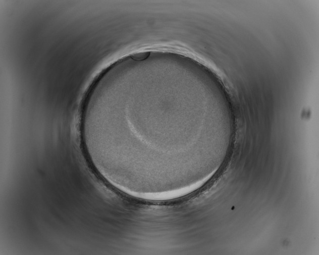 X0000102501506200809051333