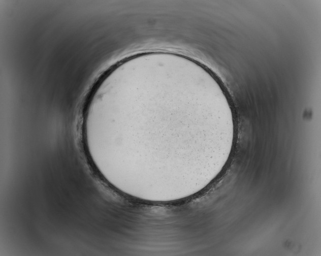 X0000102501507200809051333