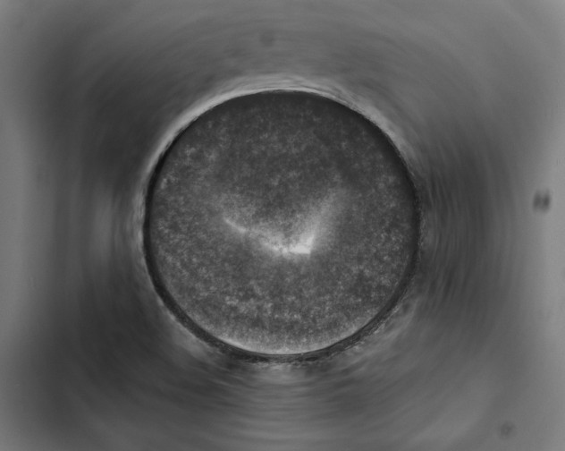 X0000102501508200809051333