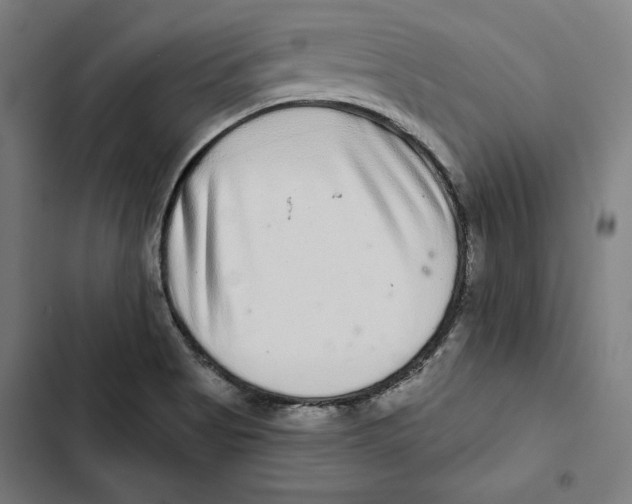 X0000102501513200809051333