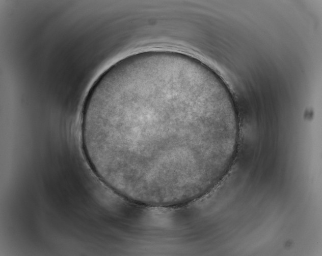 X0000102501514200809051333