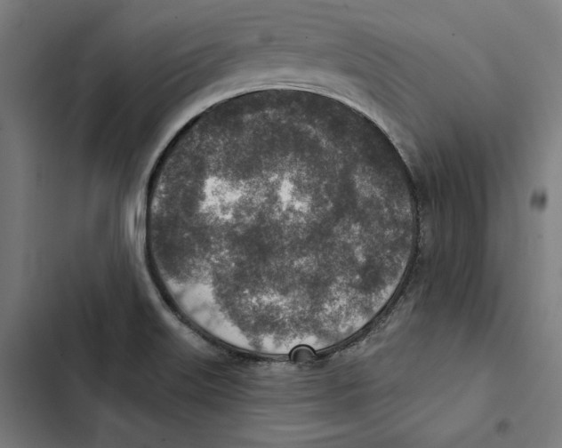 X0000102501515200809051333