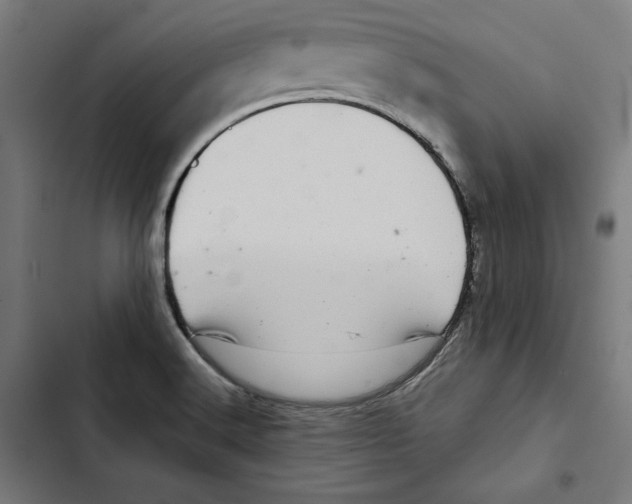 X0000102501516200809051334