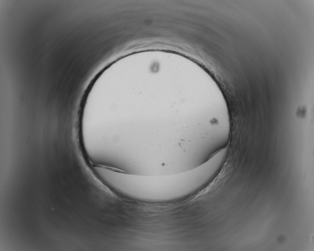 X0000102501518200809051334