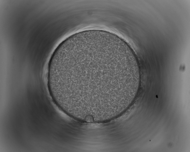 X0000102501519200809051334