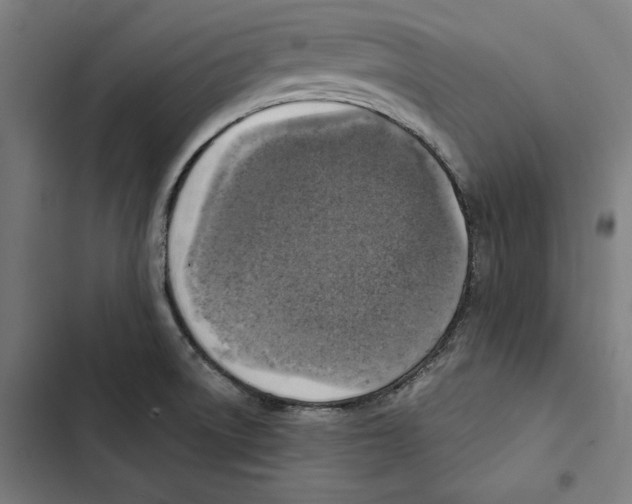 X0000102501522200809051334