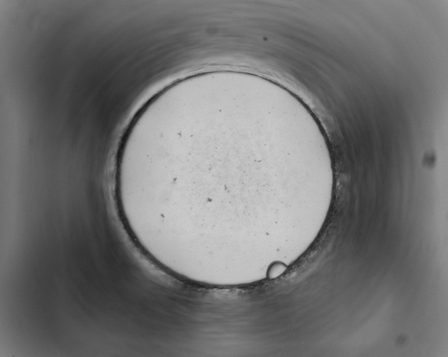 X0000102501523200809051334