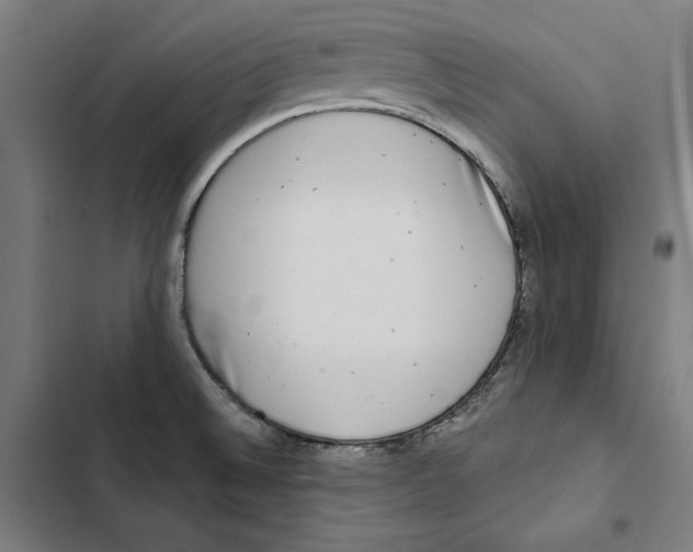 X0000102501524200809051334