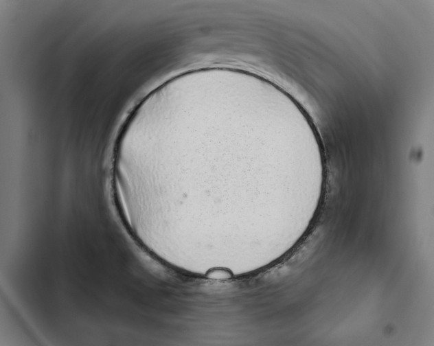 X0000102501525200809051334