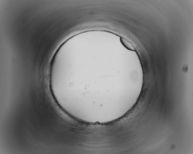 X0000102501526200809051334