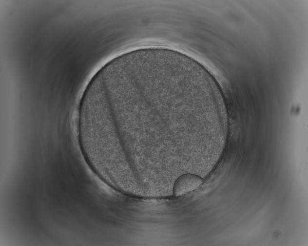 X0000102501527200809051334