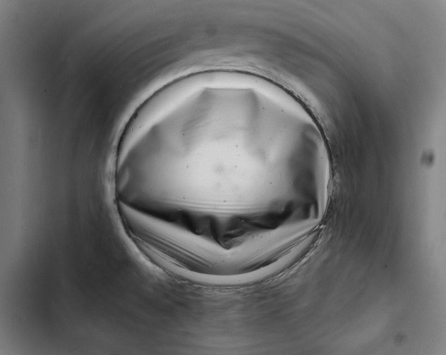 X0000102501528200809051334