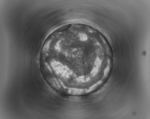 X0000102501529200809051334