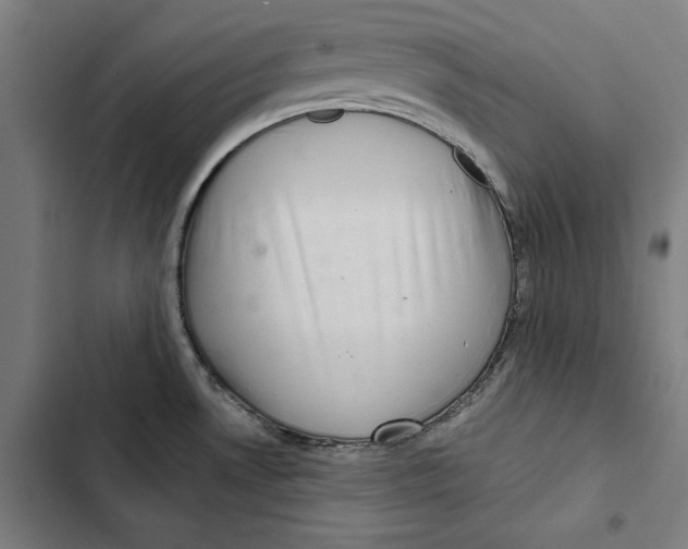 X0000102501530200809051334