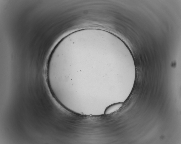 X0000102501531200809051334