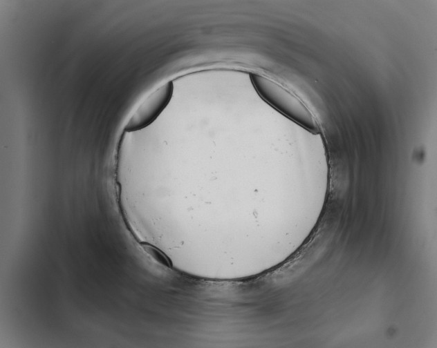 X0000102501532200809051334