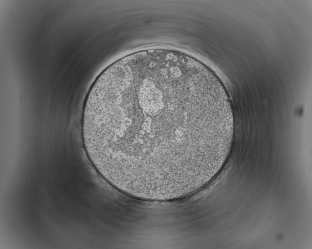 X0000102501534200809051334