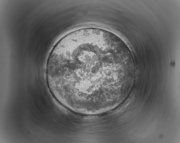 X0000102501535200809051334