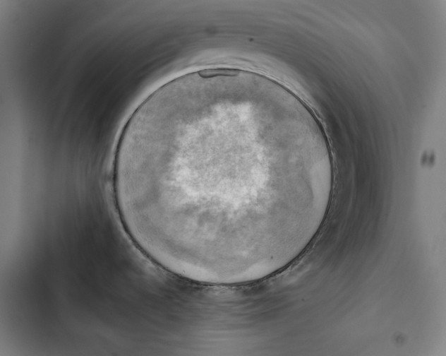 X0000102501536200809051334