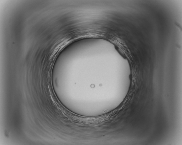 X0000102510001200808081017