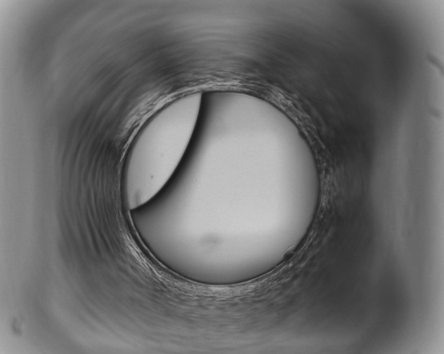 X0000102510002200808081017