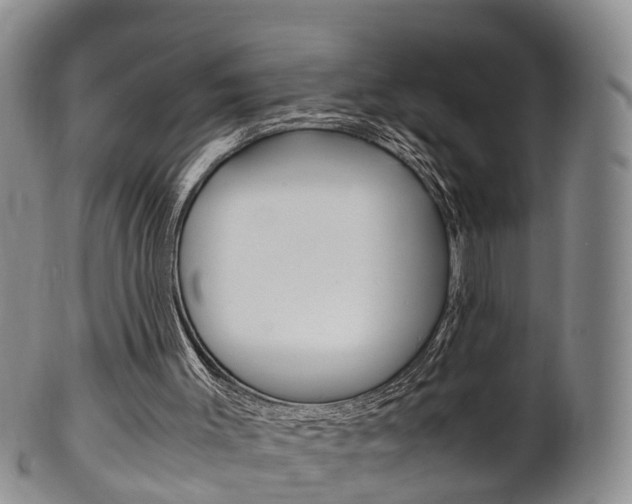 X0000102510003200808081017