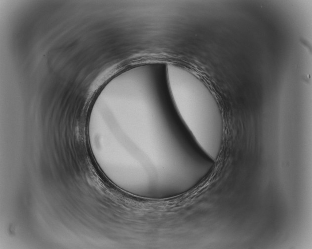 X0000102510004200808081017