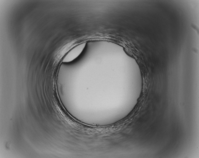 X0000102510005200808081017