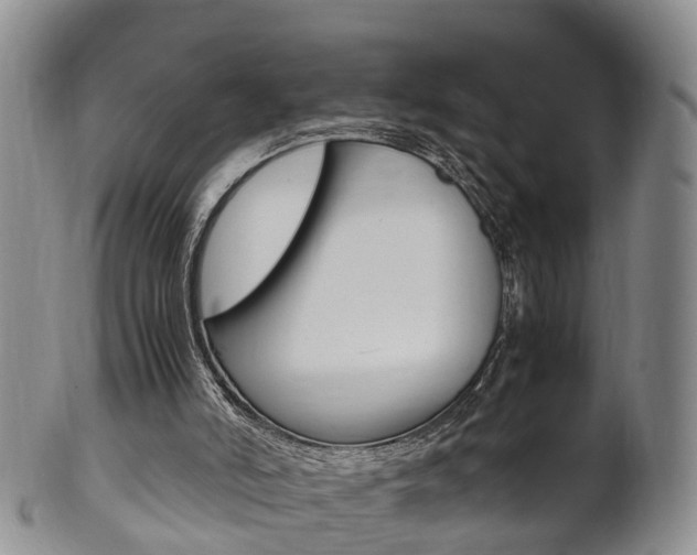 X0000102510006200808081017