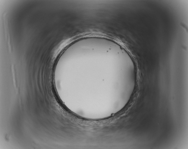 X0000102510007200808081017